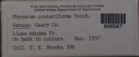 Image Associated With the Occurence